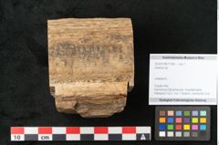 Foto (Objekt + Etikett) von Quercus sp.  (NHMW-GEO-2024-0188-11583)